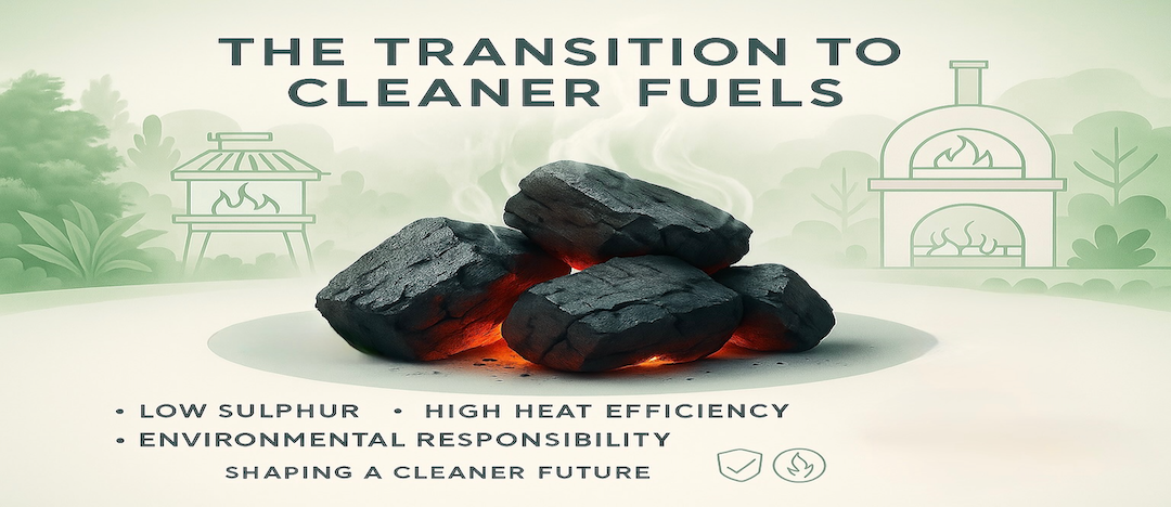 Authorisation for section 20 of the Clean Air Act 1993.