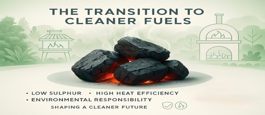 Authorisation for section 20 of the Clean Air Act 1993.